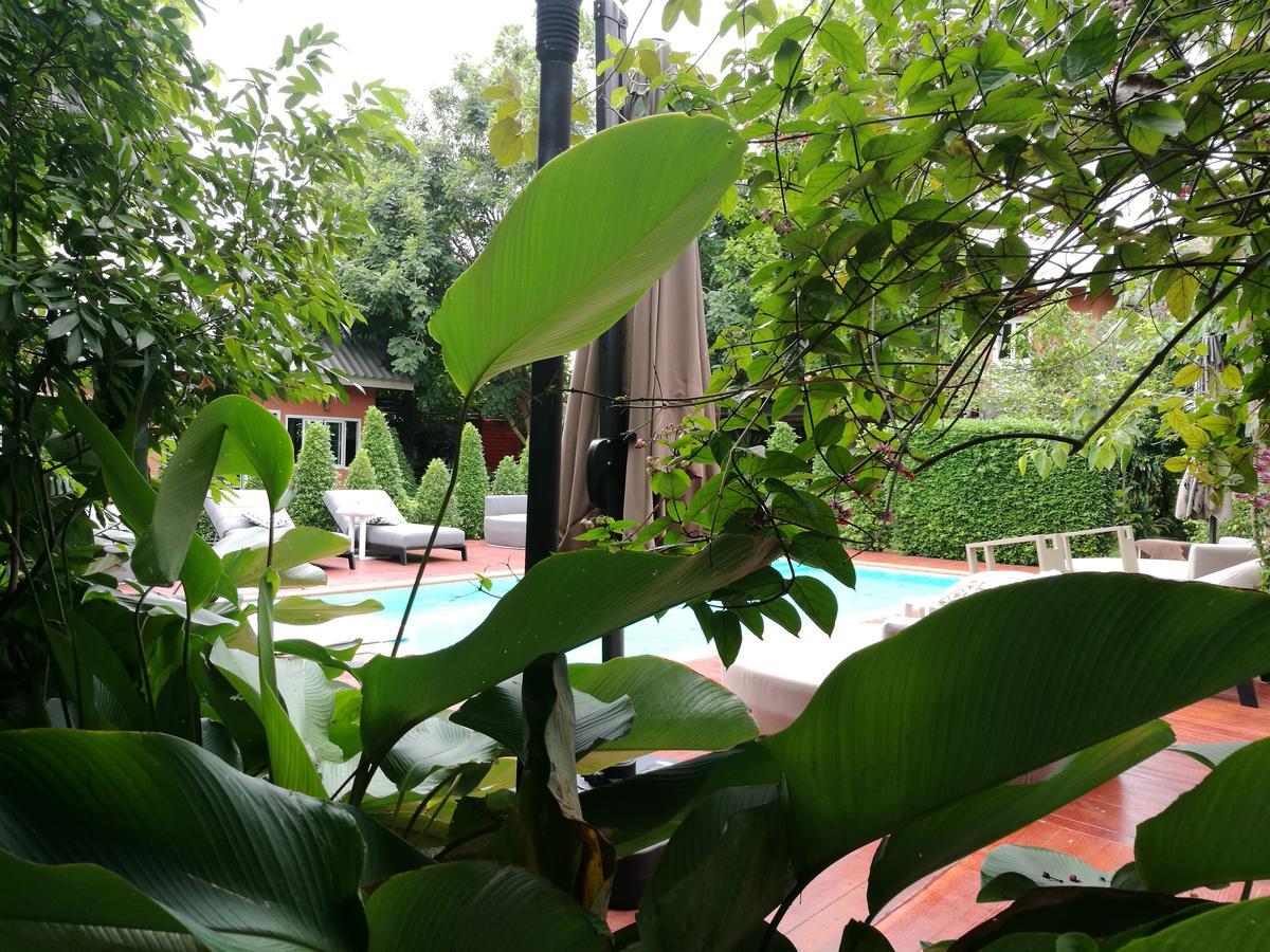 האד צ'או סמרן Oasis91 Resort & Restaurant מראה חיצוני תמונה